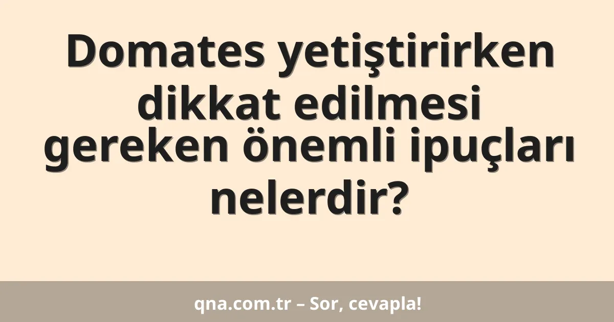 Domates yetiştirirken dikkat edilmesi gereken önemli ipuçları nelerdir?