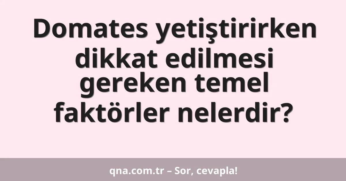 Domates yetiştirirken dikkat edilmesi gereken temel faktörler nelerdir?