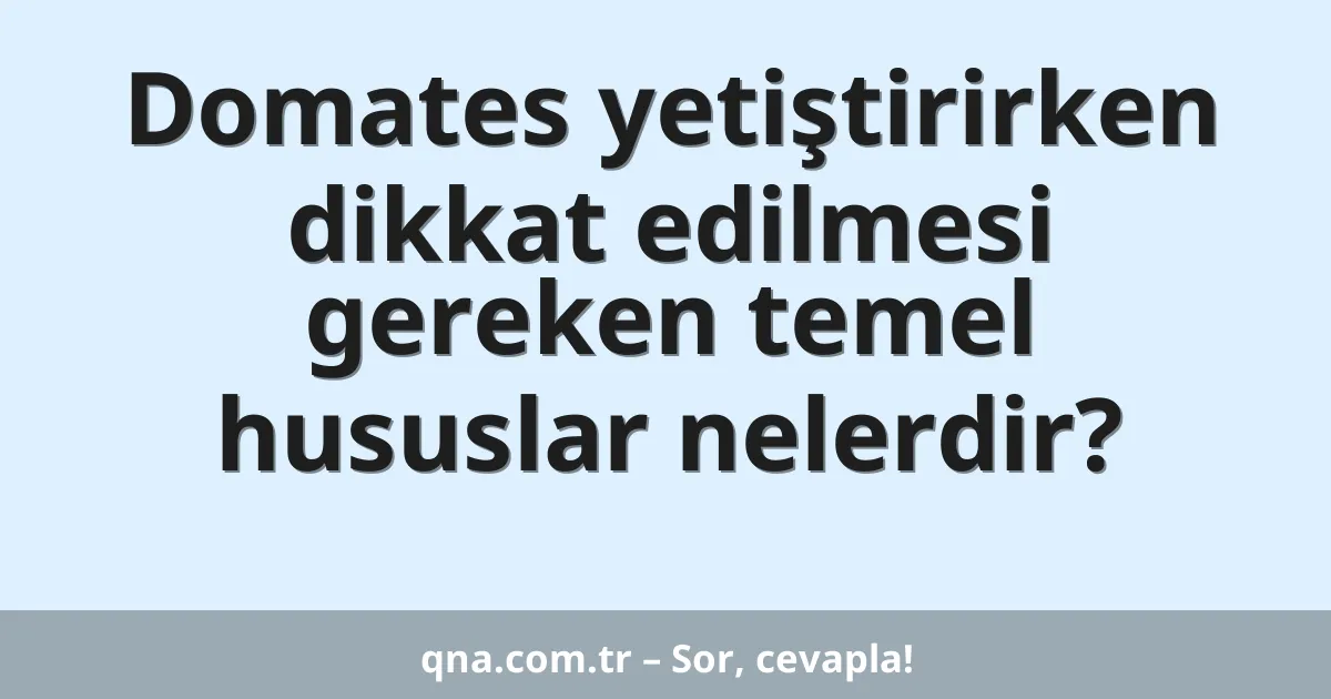 Domates yetiştirirken dikkat edilmesi gereken temel hususlar nelerdir?