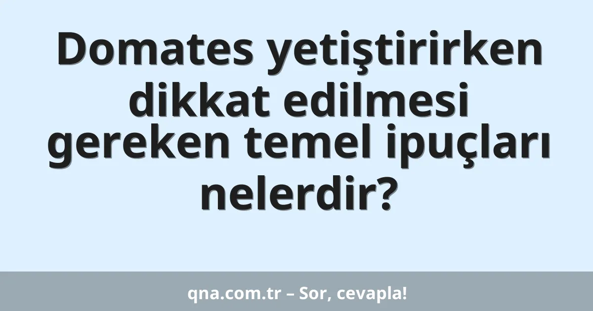 Domates yetiştirirken dikkat edilmesi gereken temel ipuçları nelerdir?