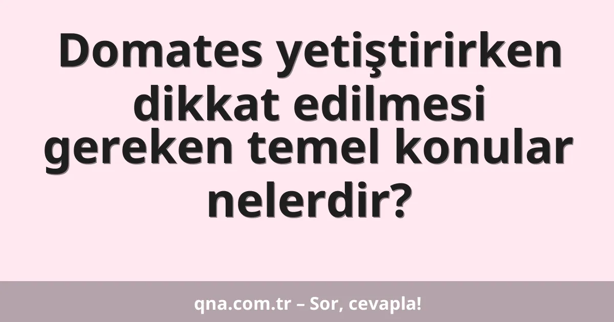 Domates yetiştirirken dikkat edilmesi gereken temel konular nelerdir?