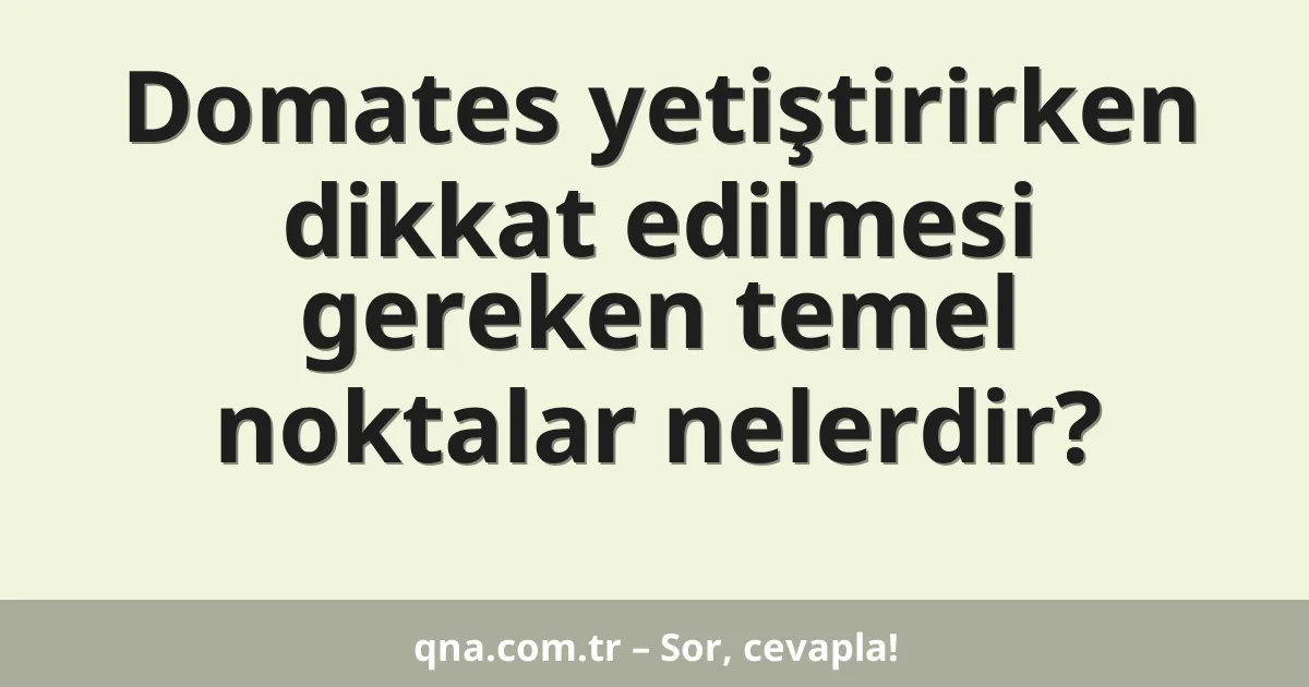 Domates yetiştirirken dikkat edilmesi gereken temel noktalar nelerdir?