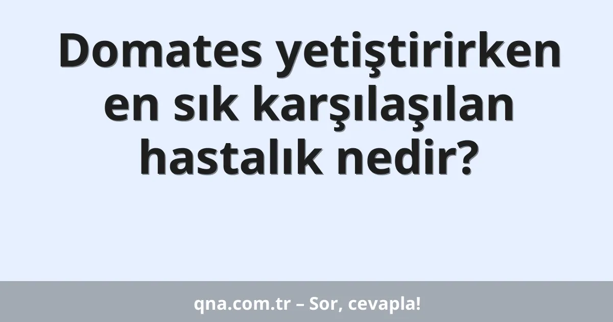 Domates yetiştirirken en sık karşılaşılan hastalık nedir?