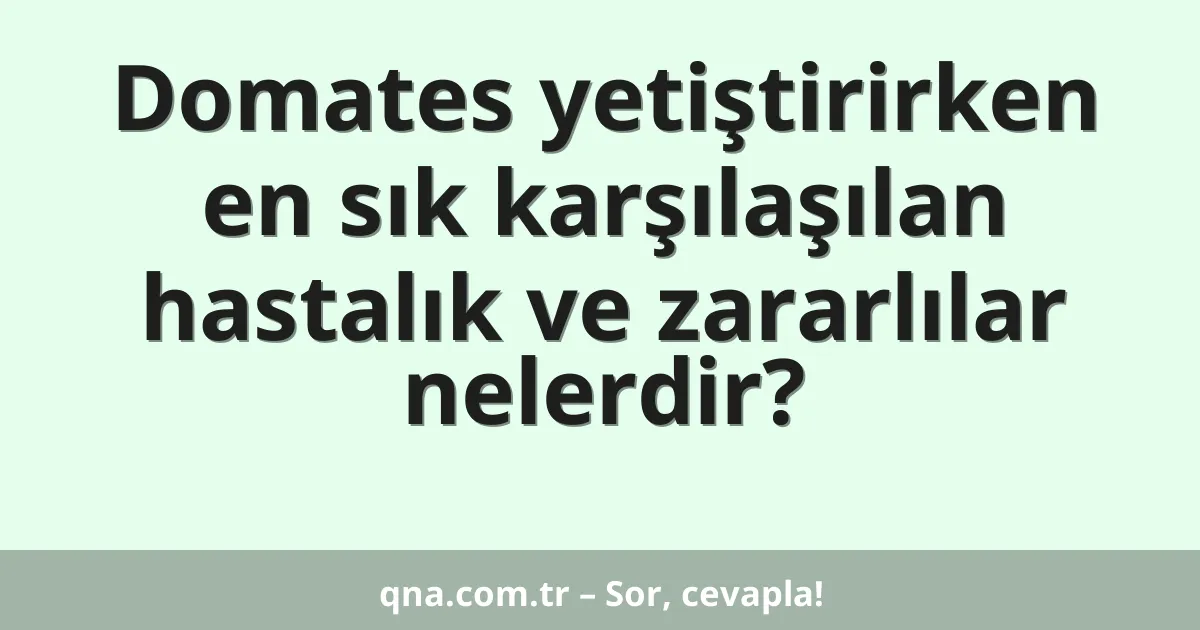 Domates yetiştirirken en sık karşılaşılan hastalık ve zararlılar nelerdir?