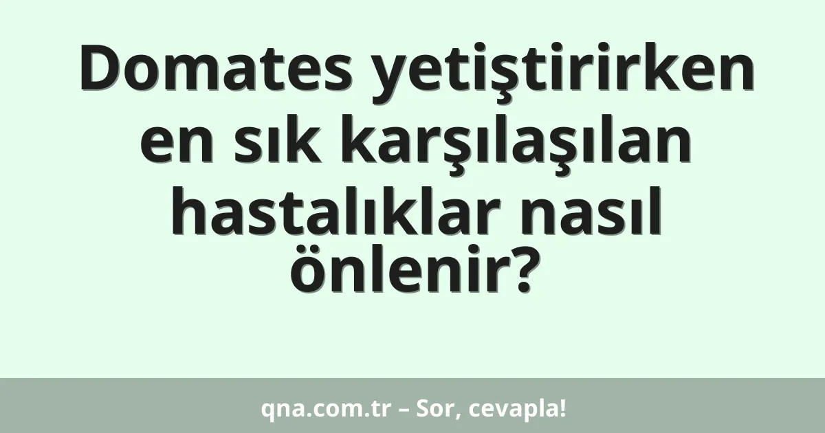 Domates yetiştirirken en sık karşılaşılan hastalıklar nasıl önlenir?