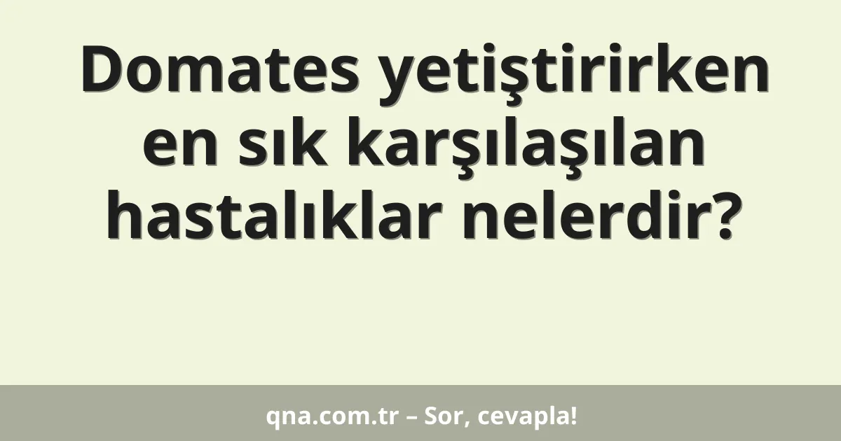 Domates yetiştirirken en sık karşılaşılan hastalıklar nelerdir?