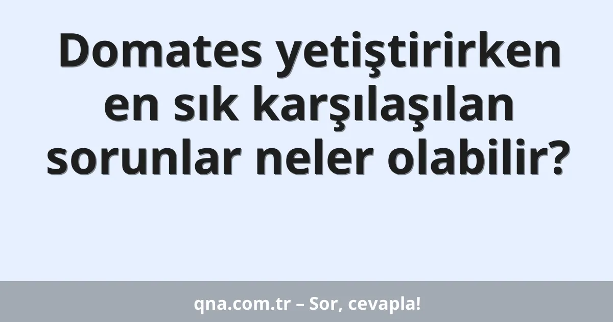 Domates yetiştirirken en sık karşılaşılan sorunlar neler olabilir?