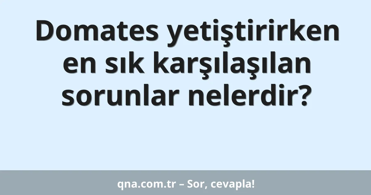 Domates yetiştirirken en sık karşılaşılan sorunlar nelerdir?