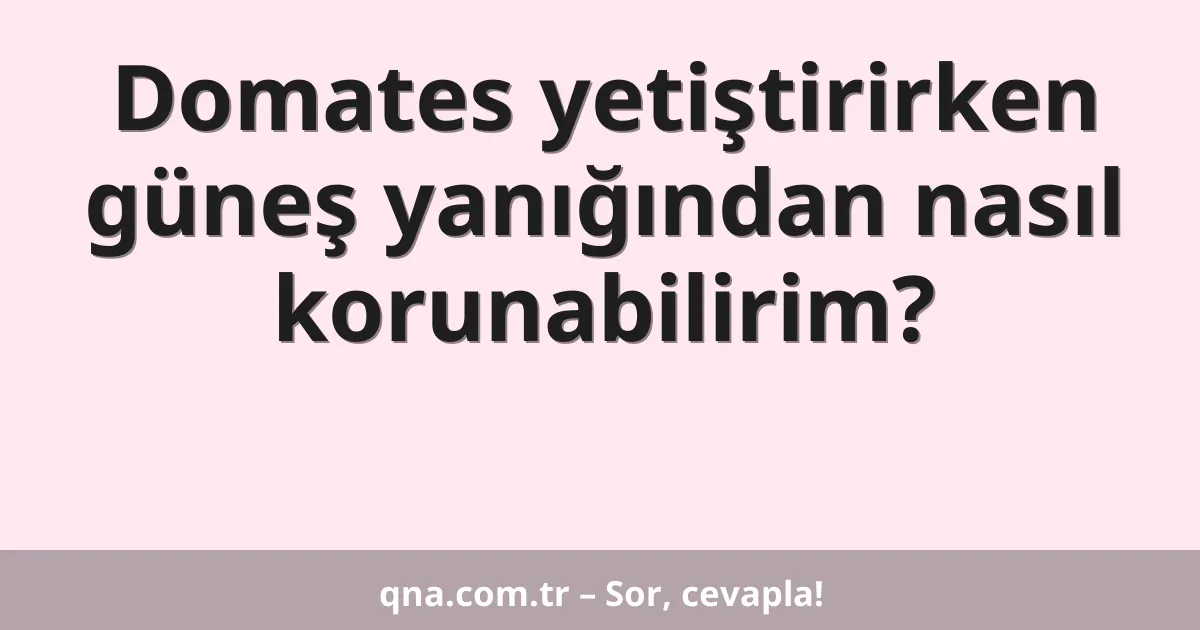 Domates yetiştirirken güneş yanığından nasıl korunabilirim?