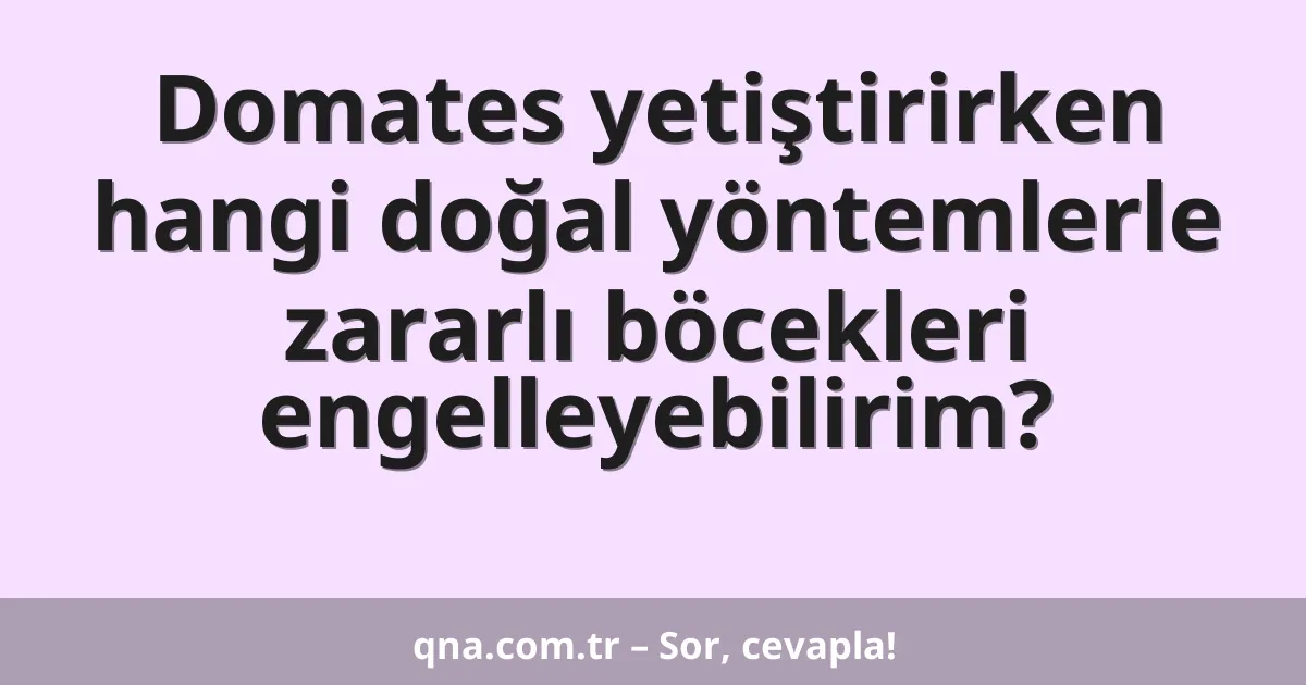 Domates yetiştirirken hangi doğal yöntemlerle zararlı böcekleri engelleyebilirim?