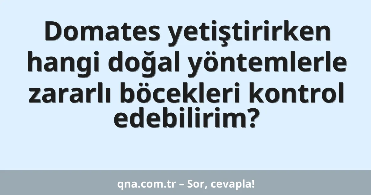 Domates yetiştirirken hangi doğal yöntemlerle zararlı böcekleri kontrol edebilirim?