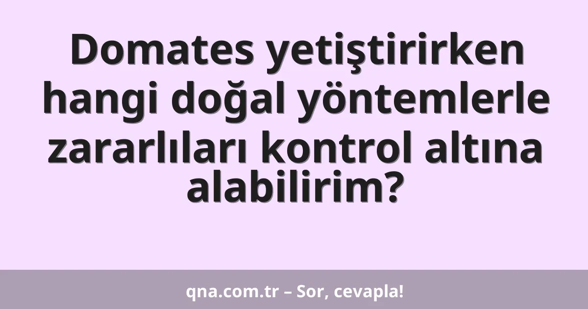 Domates yetiştirirken hangi doğal yöntemlerle zararlıları kontrol altına alabilirim?