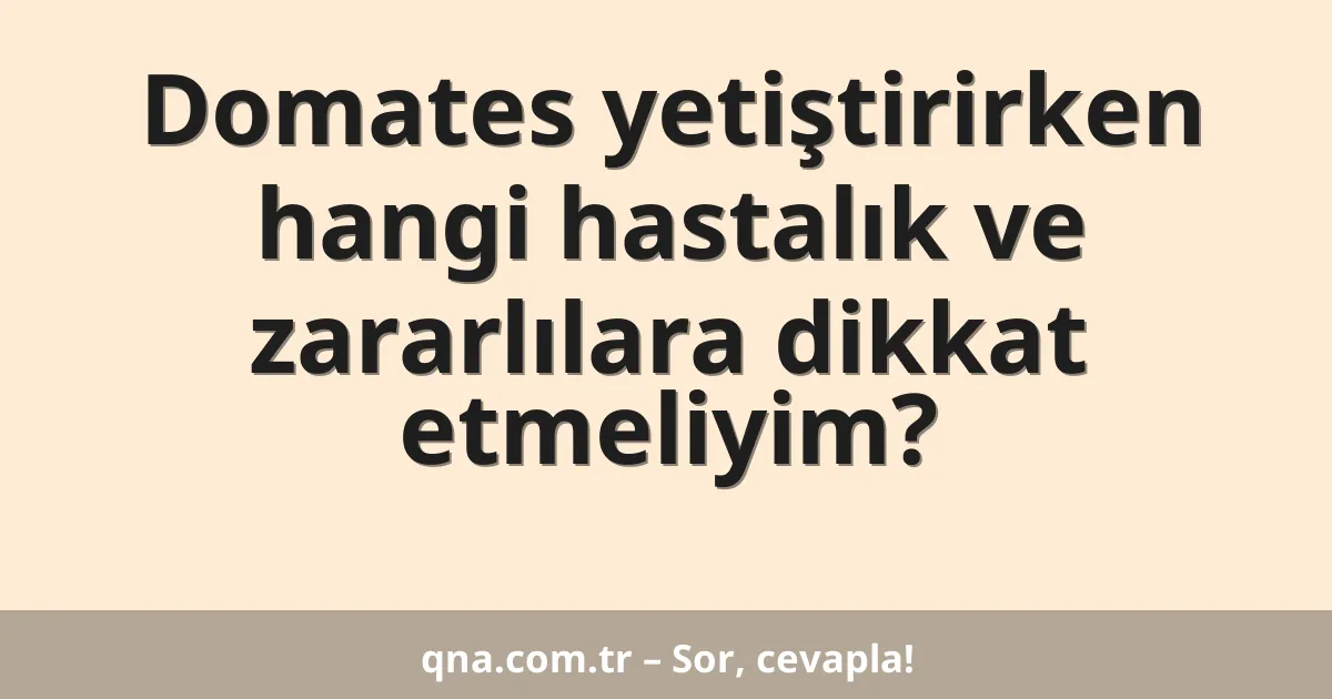Domates yetiştirirken hangi hastalık ve zararlılara dikkat etmeliyim?