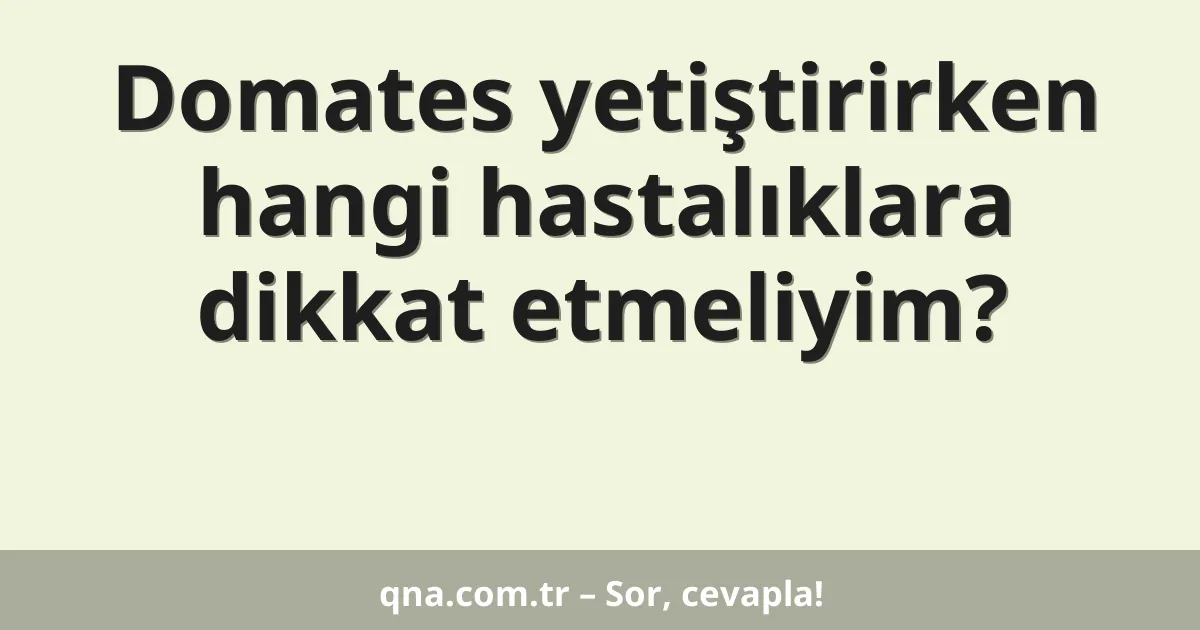 Domates yetiştirirken hangi hastalıklara dikkat etmeliyim?