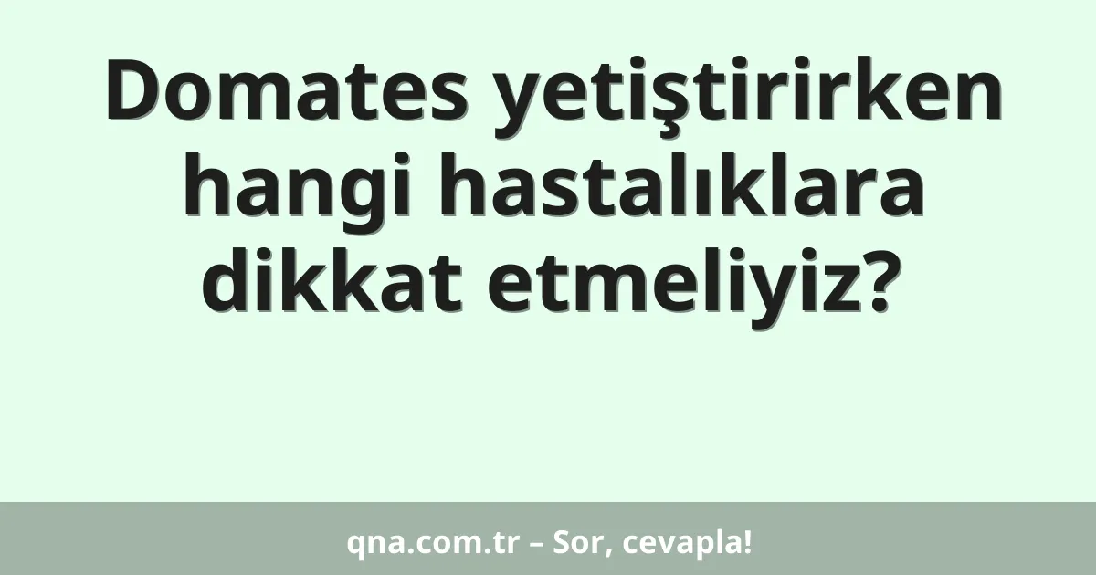Domates yetiştirirken hangi hastalıklara dikkat etmeliyiz?