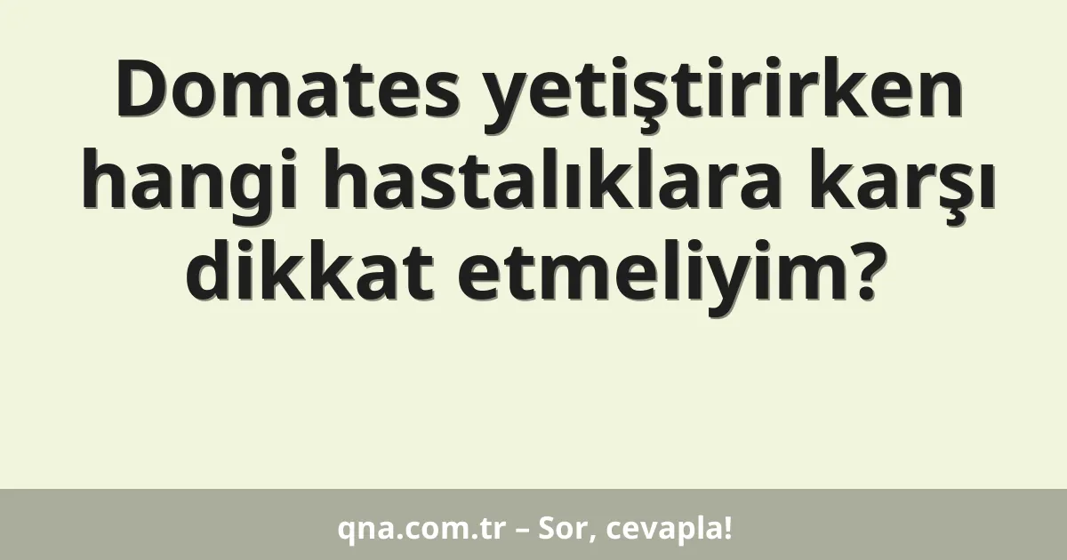 Domates yetiştirirken hangi hastalıklara karşı dikkat etmeliyim?