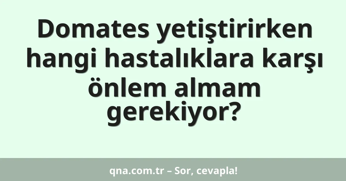 Domates yetiştirirken hangi hastalıklara karşı önlem almam gerekiyor?