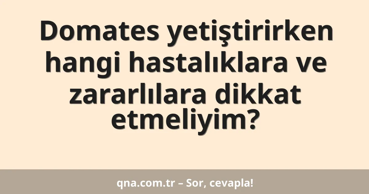 Domates yetiştirirken hangi hastalıklara ve zararlılara dikkat etmeliyim?