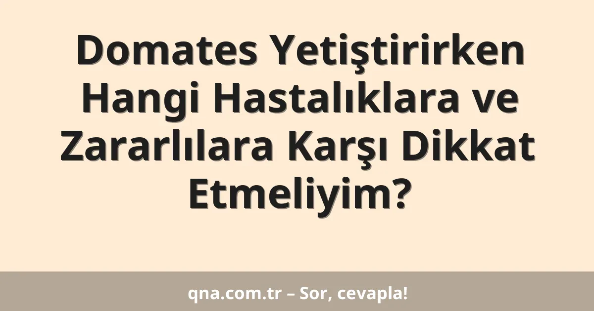 Domates Yetiştirirken Hangi Hastalıklara ve Zararlılara Karşı Dikkat Etmeliyim?