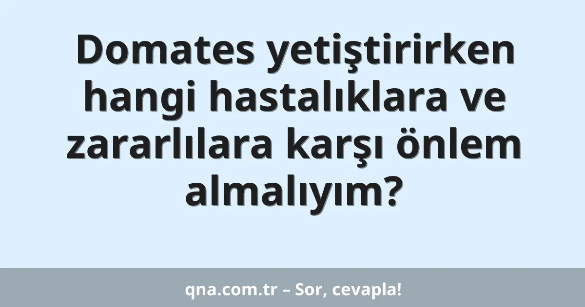 Domates yetiştirirken hangi hastalıklara ve zararlılara karşı önlem almalıyım?