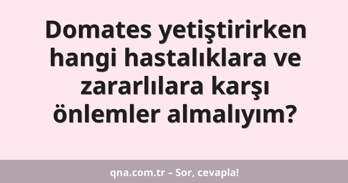 Domates yetiştirirken hangi hastalıklara ve zararlılara karşı önlemler almalıyım?