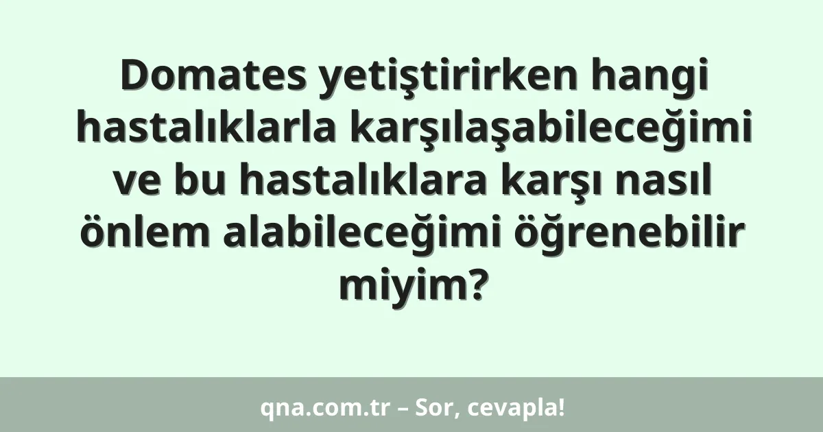 Domates yetiştirirken hangi hastalıklarla karşılaşabileceğimi ve bu hastalıklara karşı nasıl önlem alabileceğimi öğrenebilir miyim?