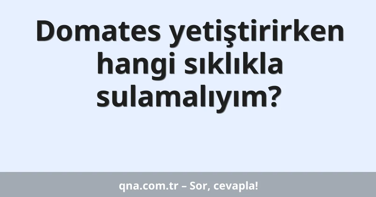 Domates yetiştirirken hangi sıklıkla sulamalıyım?