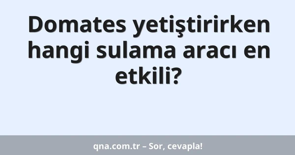 Domates yetiştirirken hangi sulama aracı en etkili?