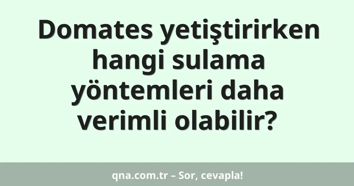 Domates yetiştirirken hangi sulama yöntemleri daha verimli olabilir?