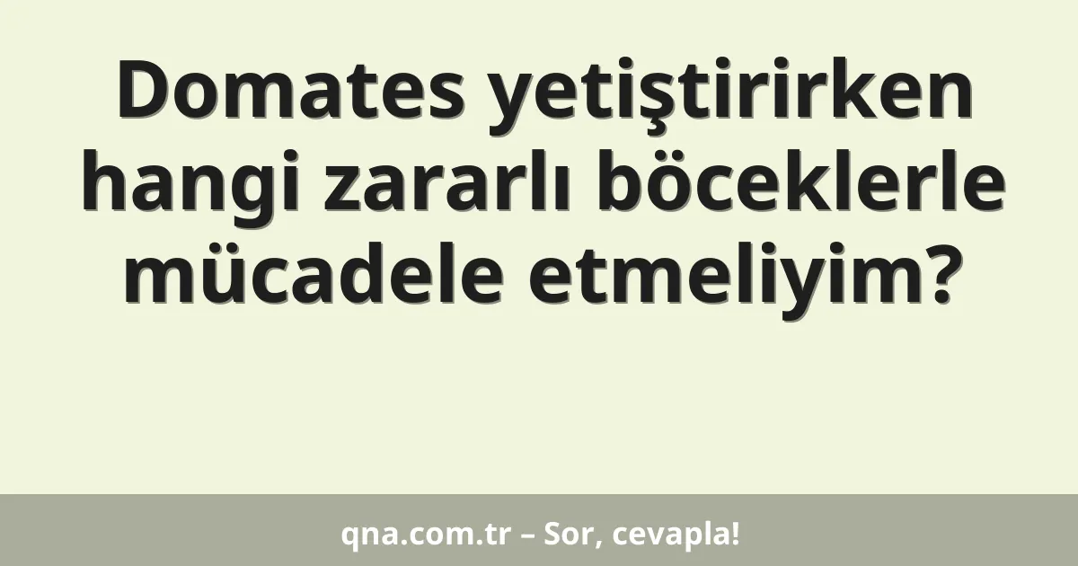 Domates yetiştirirken hangi zararlı böceklerle mücadele etmeliyim?