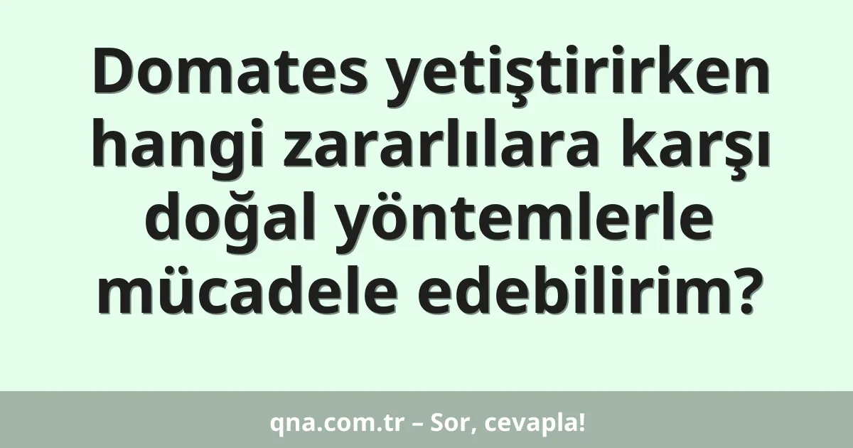 Domates yetiştirirken hangi zararlılara karşı doğal yöntemlerle mücadele edebilirim?
