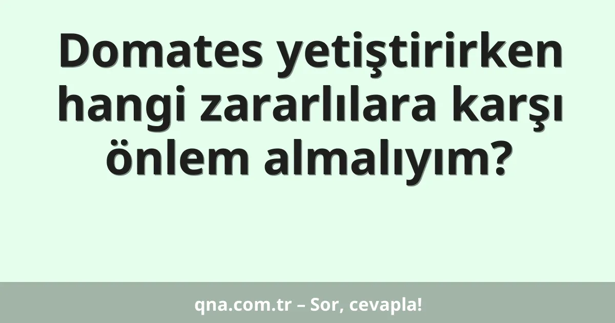 Domates yetiştirirken hangi zararlılara karşı önlem almalıyım?