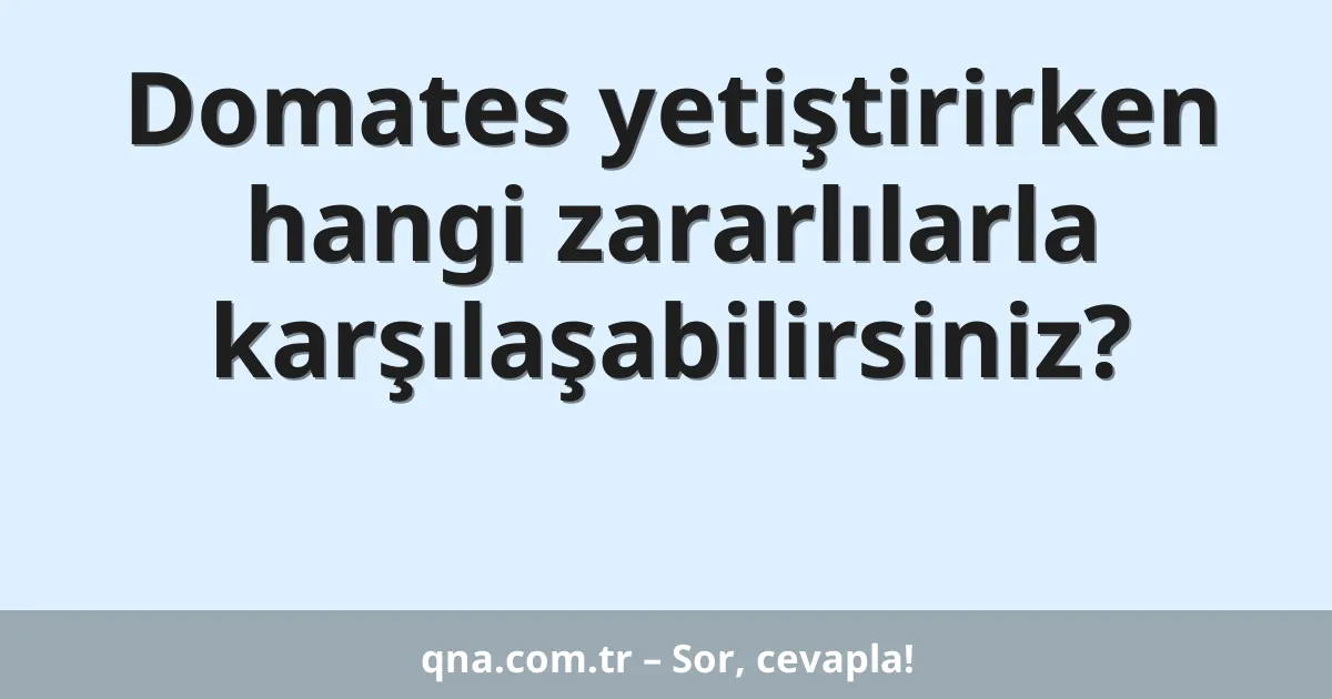Domates yetiştirirken hangi zararlılarla karşılaşabilirsiniz?