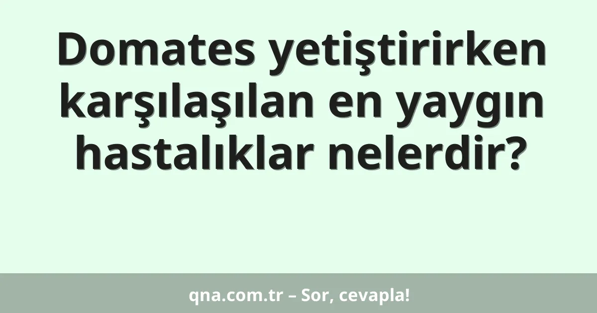 Domates yetiştirirken karşılaşılan en yaygın hastalıklar nelerdir?