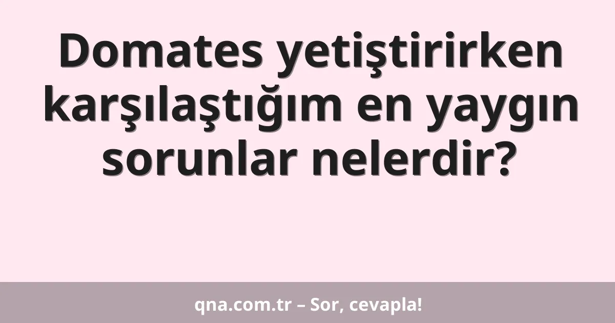 Domates yetiştirirken karşılaştığım en yaygın sorunlar nelerdir?