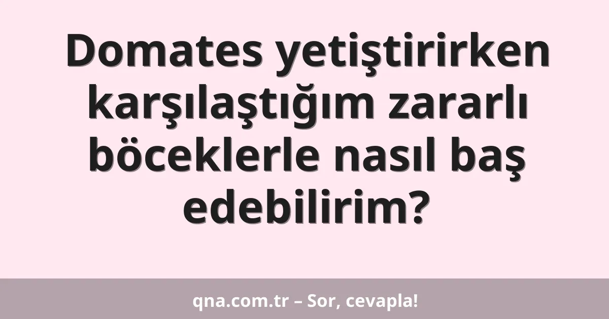 Domates yetiştirirken karşılaştığım zararlı böceklerle nasıl baş edebilirim?