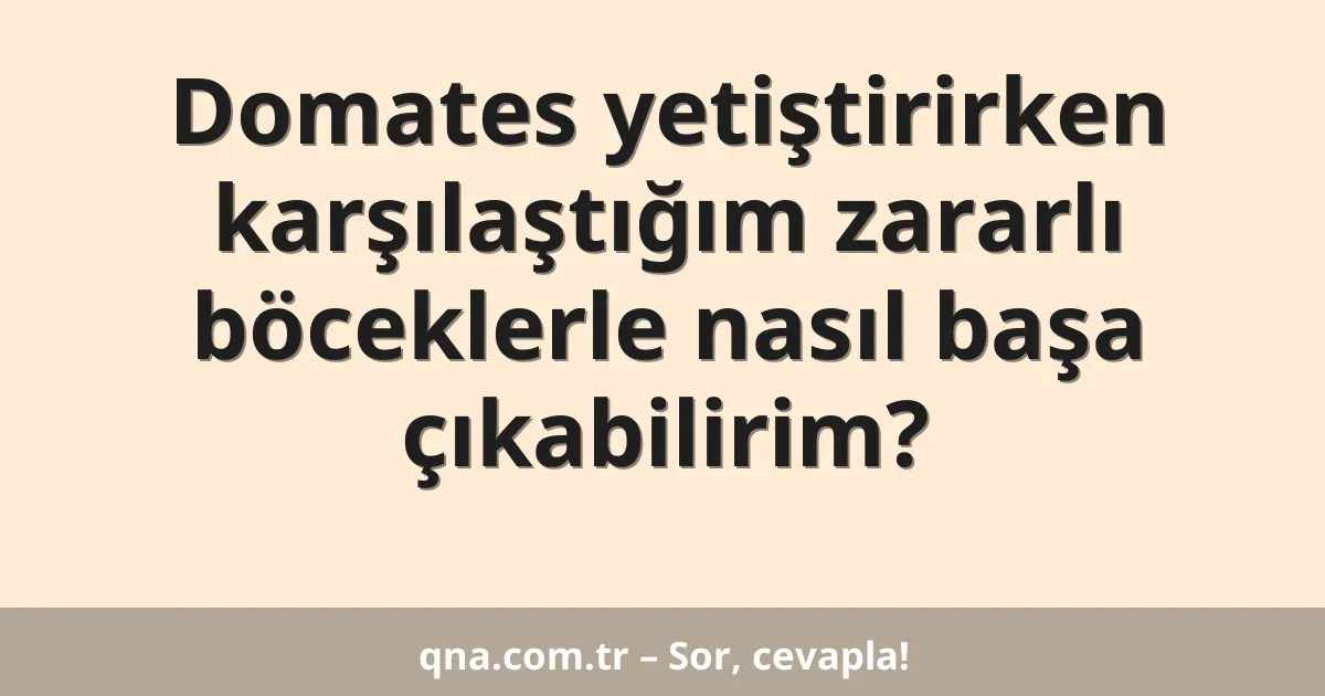 Domates yetiştirirken karşılaştığım zararlı böceklerle nasıl başa çıkabilirim?
