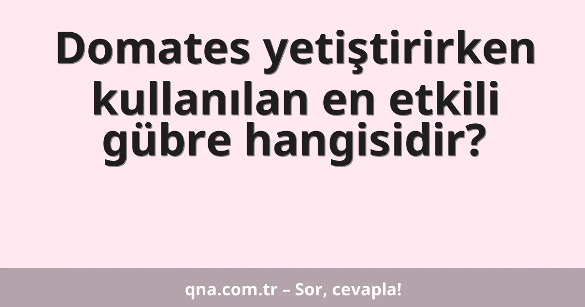 Domates yetiştirirken kullanılan en etkili gübre hangisidir?