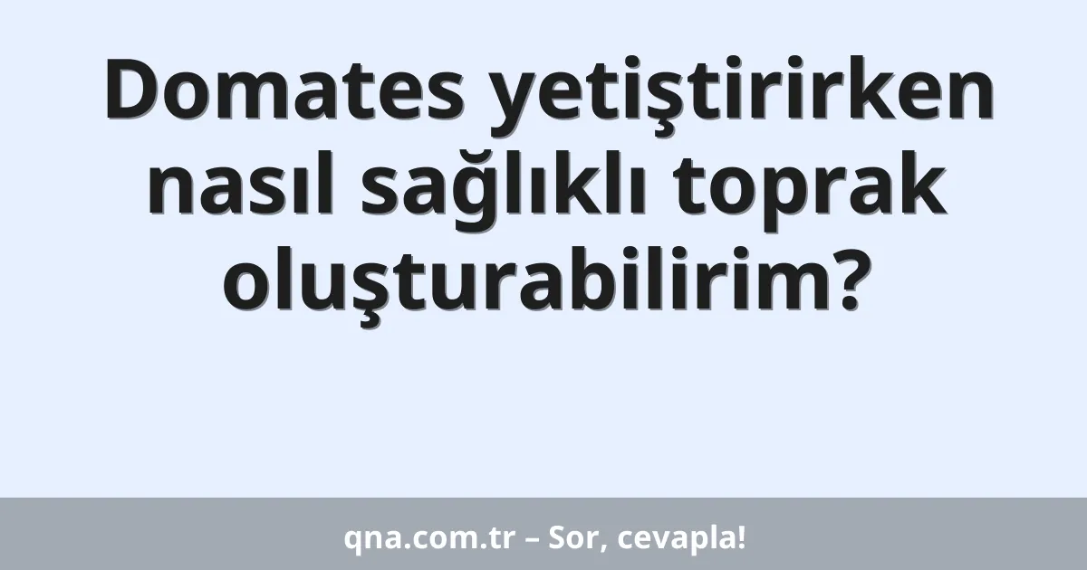 Domates yetiştirirken nasıl sağlıklı toprak oluşturabilirim?