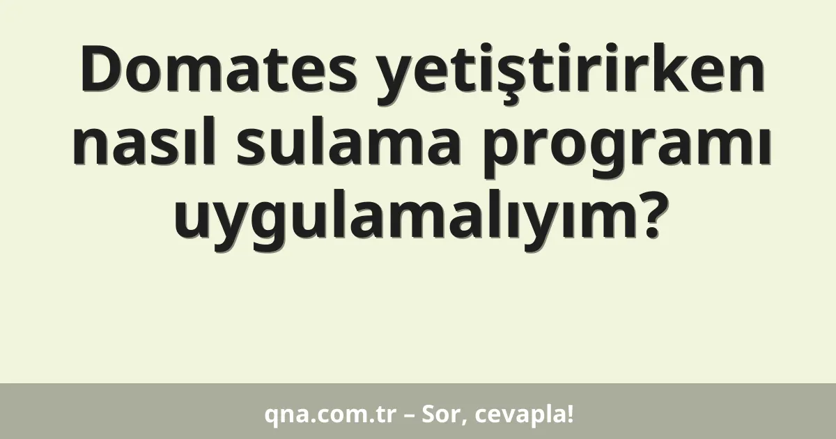 Domates yetiştirirken nasıl sulama programı uygulamalıyım?