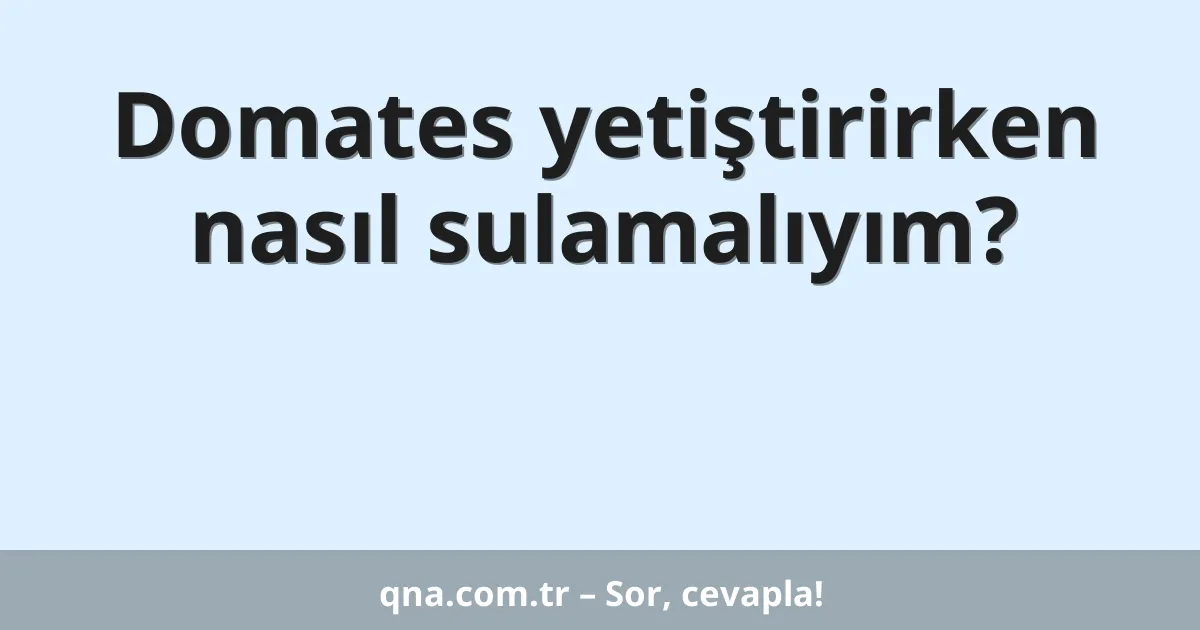 Domates yetiştirirken nasıl sulamalıyım?