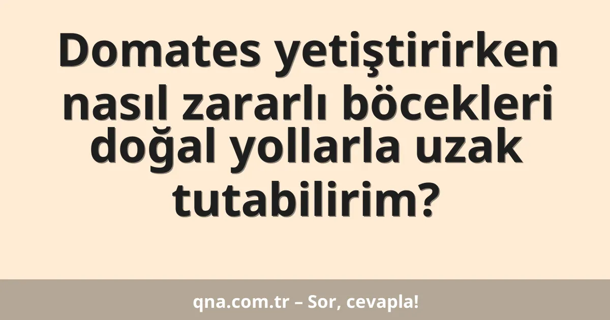 Domates yetiştirirken nasıl zararlı böcekleri doğal yollarla uzak tutabilirim?