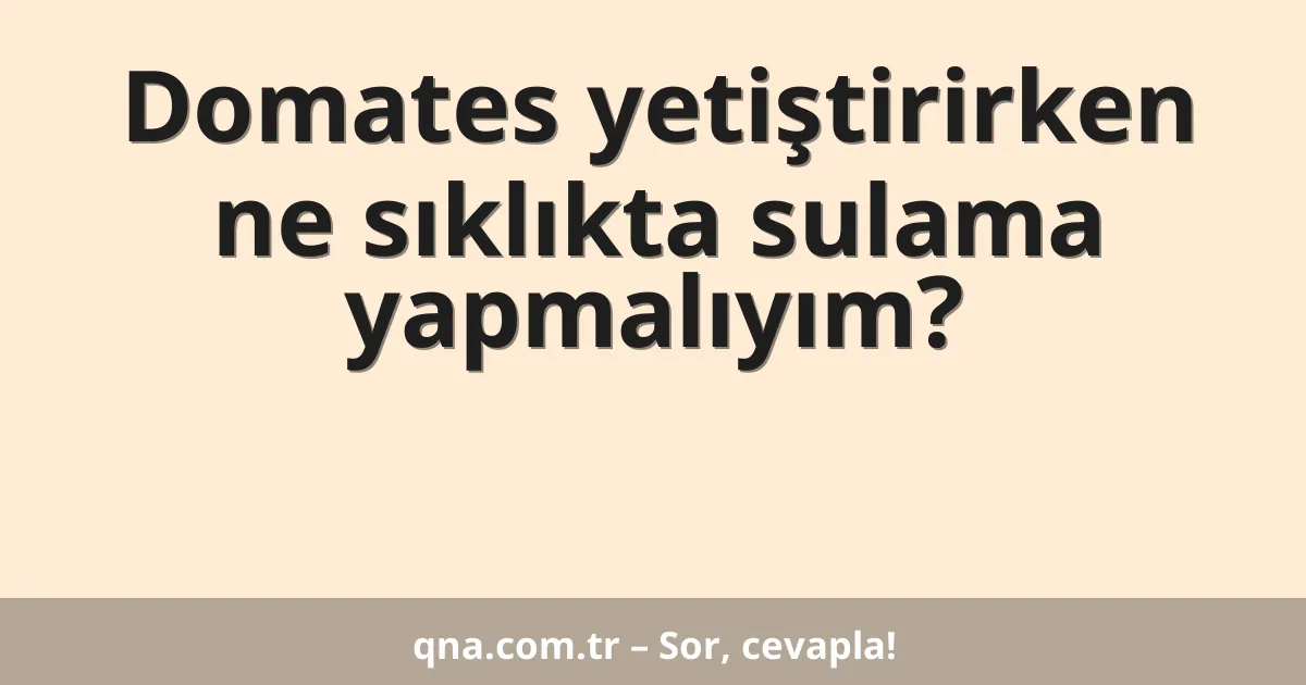 Domates yetiştirirken ne sıklıkta sulama yapmalıyım?