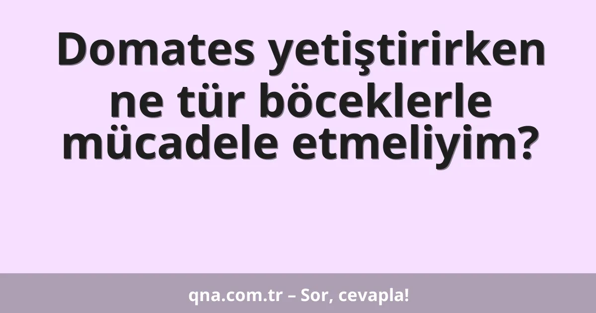 Domates yetiştirirken ne tür böceklerle mücadele etmeliyim?