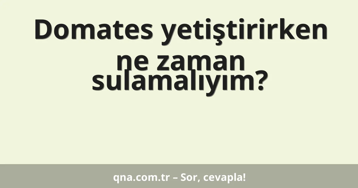 Domates yetiştirirken ne zaman sulamalıyım?
