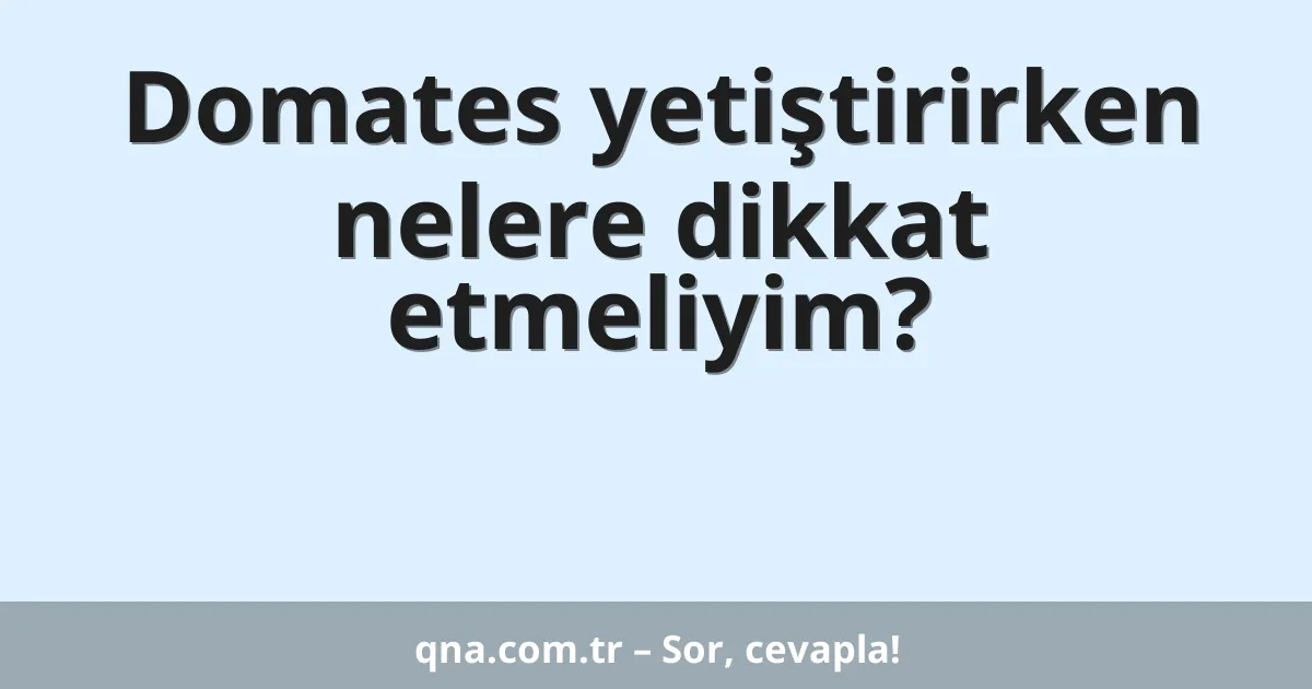 Domates yetiştirirken nelere dikkat etmeliyim?