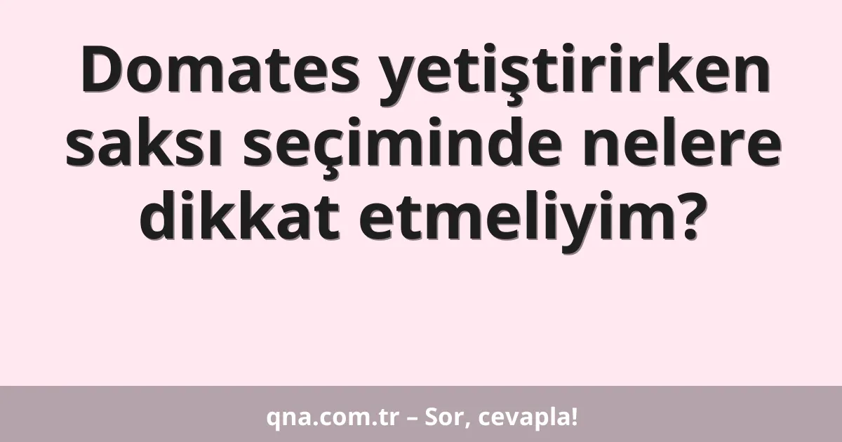 Domates yetiştirirken saksı seçiminde nelere dikkat etmeliyim?