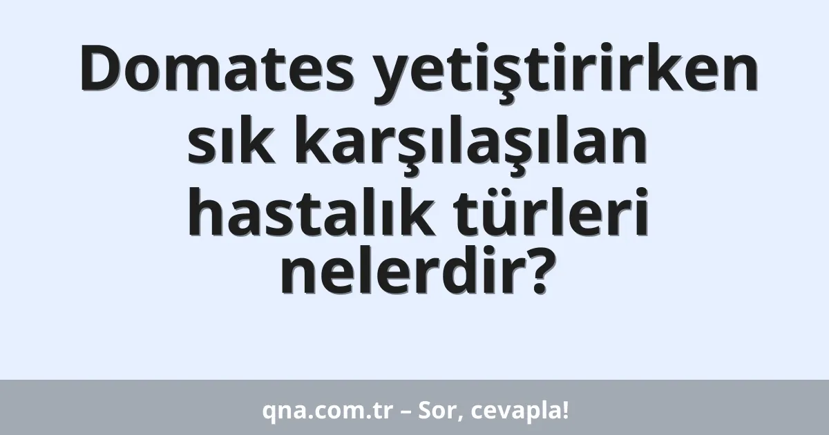 Domates yetiştirirken sık karşılaşılan hastalık türleri nelerdir?