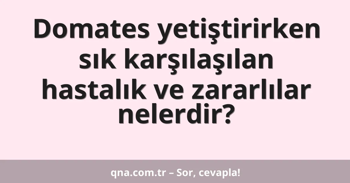 Domates yetiştirirken sık karşılaşılan hastalık ve zararlılar nelerdir?
