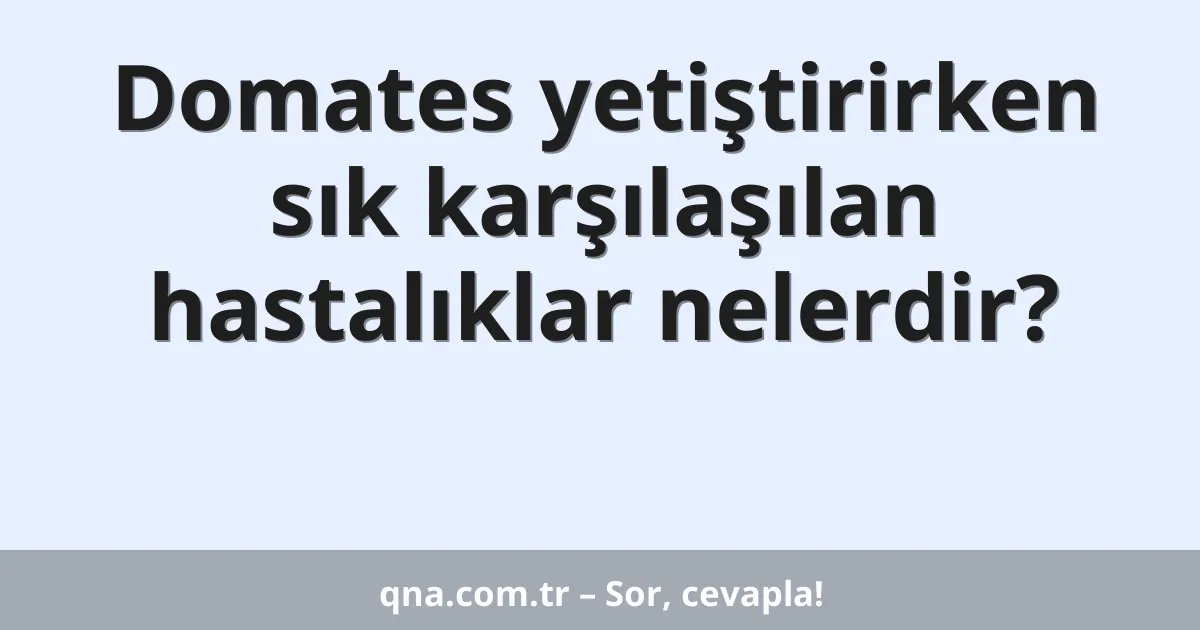 Domates yetiştirirken sık karşılaşılan hastalıklar nelerdir?